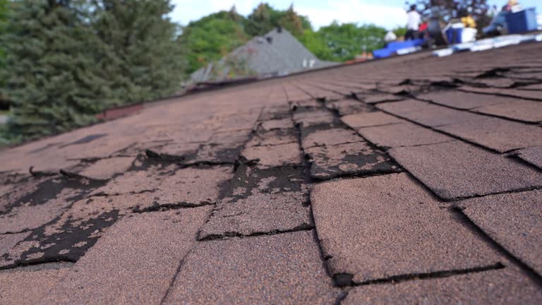  Niantic, CT Roofing Service Pros